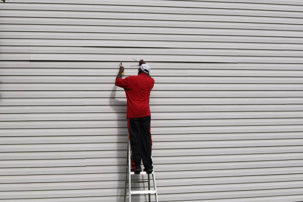 Best Siding Maintenance  in Mulberry, IN