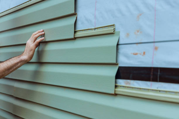 Best Insulated Siding Installation  in Mulberry, IN